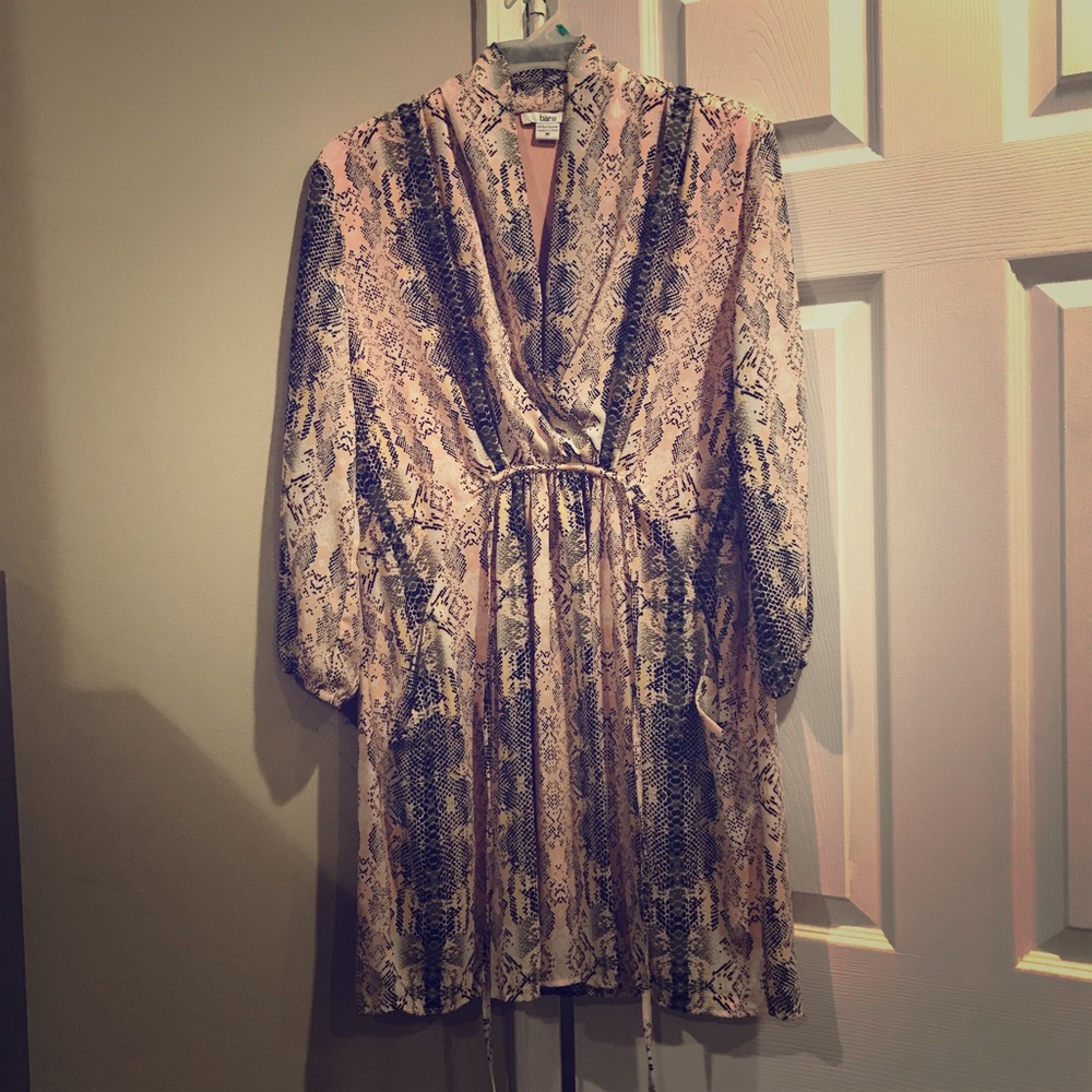 Women’s dress